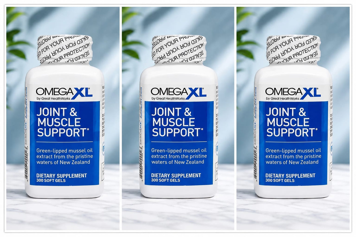 OmegaXL Joint & Muscle Support Supplement 300 Softgels – Green Lipped Mussel Oil Extract Omega 3 Formula – Joint Mobility & Flexibility Support – 3 Pack (900 Softgels)
